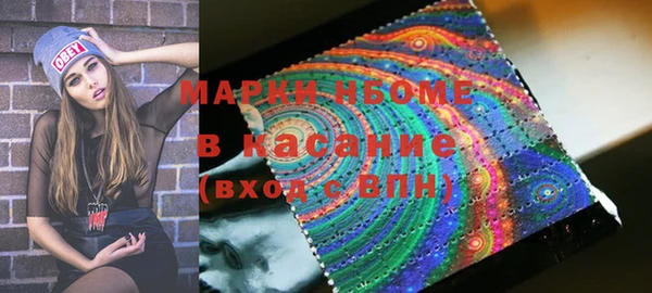 гашик Богородск