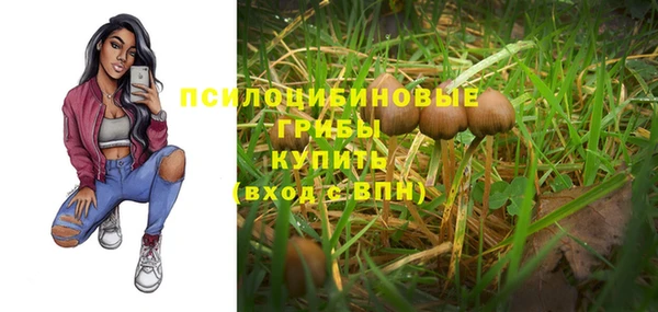 винт Богородицк
