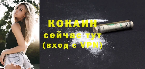 гашик Богородск