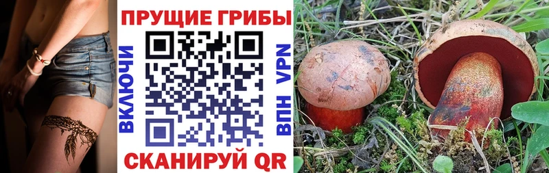 Псилоцибиновые грибы Magic Shrooms Великие Луки